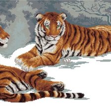 Схема вышивки «Тигры»
