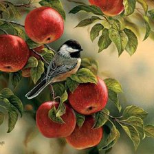 Схема вышивки «Птицы»