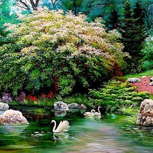 лебеди на лесном озере