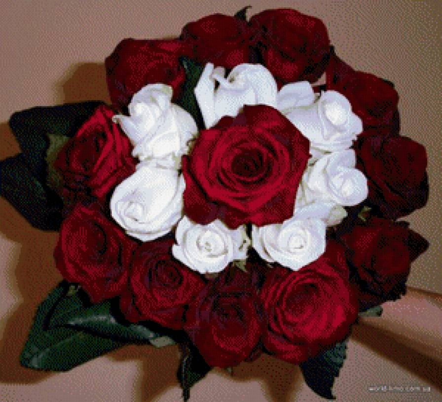 №741402 - розы, цветы, букетик - предпросмотр