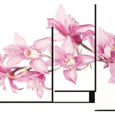 Схема вышивки «триптих "орхидеи"»