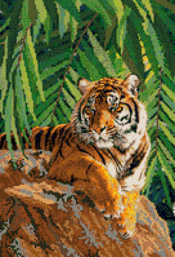 Тигр - тигры, животные - предпросмотр