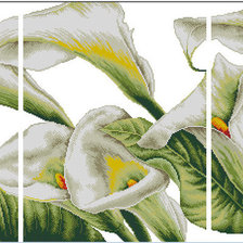 Схема вышивки «Каллы»