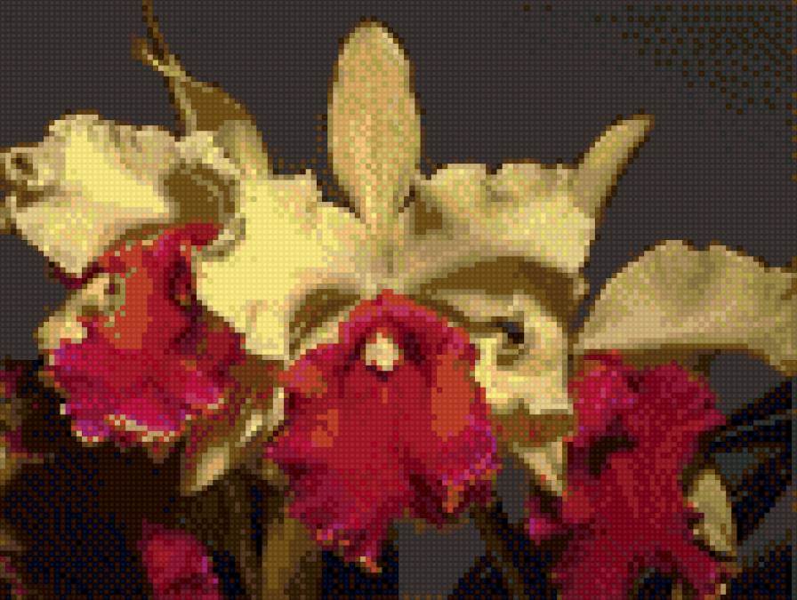 Желтые орхидеи - предпросмотр