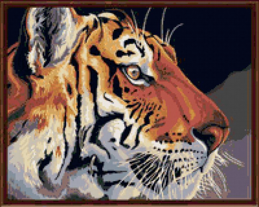 Тигр - животные, тигры - предпросмотр