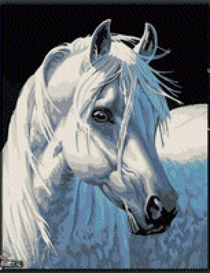 Лошади - животные, лошади, кони - предпросмотр