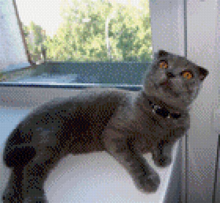 Мистер Котик - коты - предпросмотр