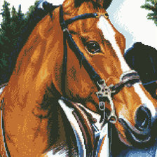 Схема вышивки «Лошади»