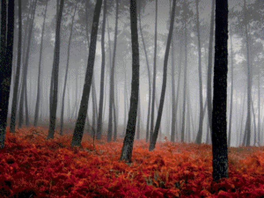 Уж небо осенью дышало.. - осень.лес - предпросмотр