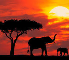 Схема вышивки «Кения»