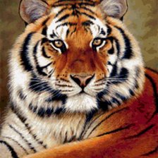 Схема вышивки «Тигр»