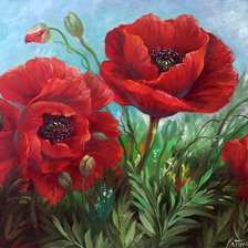 Схема вышивки «Маки»