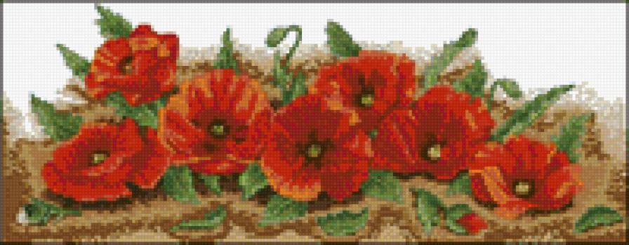 Маки - маки, цветы - предпросмотр