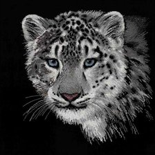 Схема вышивки «Леопард»