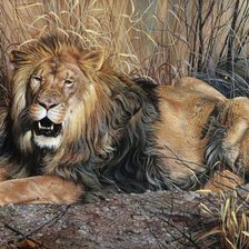 Схема вышивки «Лев»