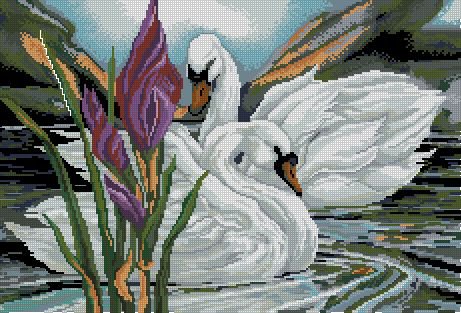 Лебеди - река, лебеди, животные - оригинал