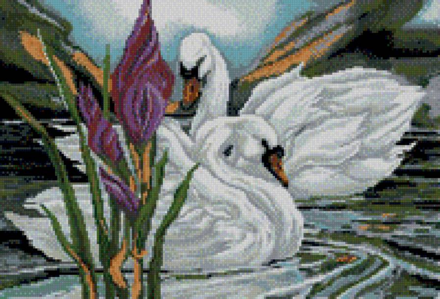 Лебеди - река, животные, лебеди - предпросмотр