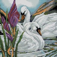 Схема вышивки «Лебеди»