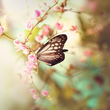 Схема вышивки «№742674»