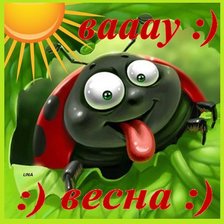 веселая божья коровка