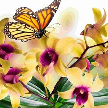 Схема вышивки «Орхидеи»