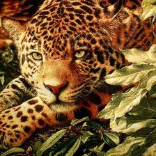 Схема вышивки «леопард»