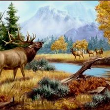 Схема вышивки «зов природы»