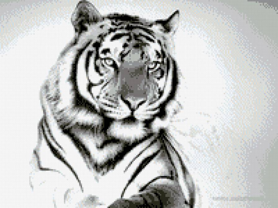 №743089 - предпросмотр