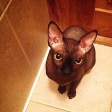 Схема вышивки «Изюм»