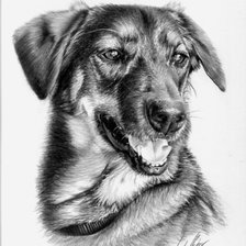 Схема вышивки «собака. карандаш»