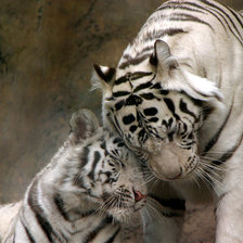 Схема вышивки «№743254»