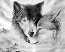 Схема вышивки «волки»