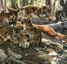 Схема вышивки «в лесу»