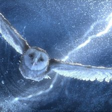 Схема вышивки «Полёт»