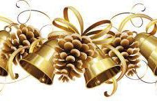 Схема вышивки «campanita»