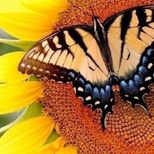 Схема вышивки «№743655»