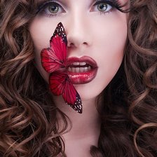 Схема вышивки «бабочка»