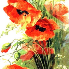 Схема вышивки «маки»