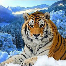 Схема вышивки «№743785»