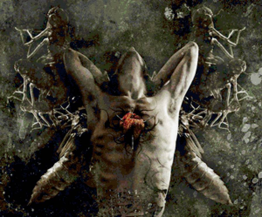 боль - муха, человек-муха, преврашение, бол - предпросмотр