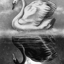 Схема вышивки «лебеди»