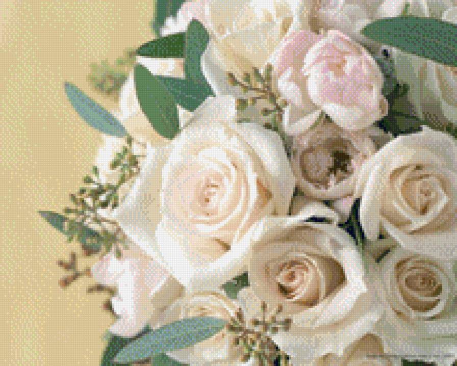 розы - предпросмотр