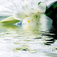 Схема вышивки «Цветок»