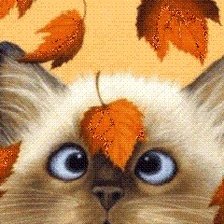 Схема вышивки «Котенок»