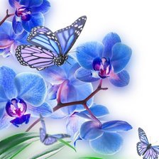 Схема вышивки «Орхидеи»