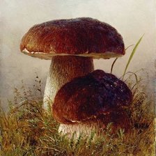 Схема вышивки «Боровики»