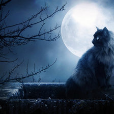 Схема вышивки «кот»