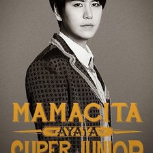 Схема вышивки «Super Junior»