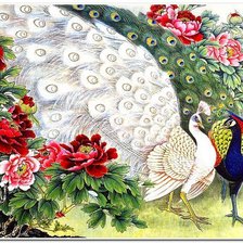 Схема вышивки «павлины»