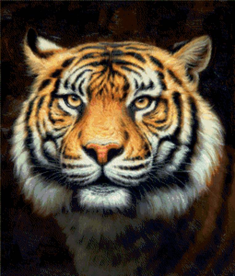 тигр на черном фоне - тигр, дикие животные - предпросмотр